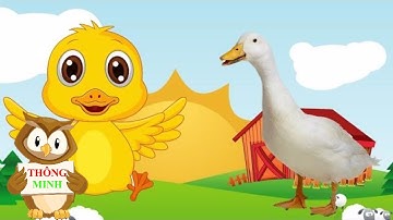 Dạy bé học nói con vật tiếng việt | em học tiếng kêu con gấu con vịt | dạy trẻ thông minh sớm