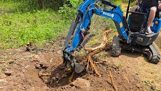 $1999 Rippa R10 1 Ton Removing a Tree Stump