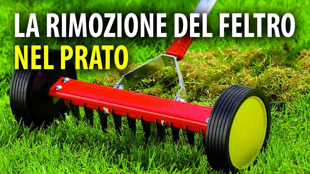 Arieggiatore per rimuovere feltro e muschio Wolf Garten UR-M 3