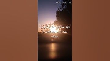 سورة الزمر الآية 61-62 بصوت القارئ الشيخ محمود خليل الحصري #سبحان_الله #المصحف #قرآن