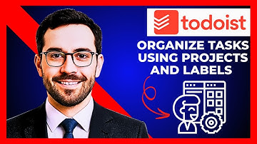 How To Organize Tasks Using TODOIST Projects And Labels (Complete 2025 Guide)