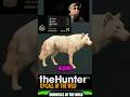 Albino GREY WOLF?! (theHunter: COTW) 🐺✨#cotw #thehunter
