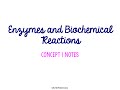 Biochemical Reactions and Enzymes Quiz