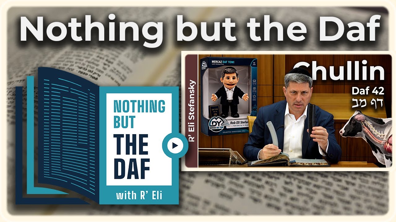 CHAZARAH - Chullin Daf 42 | "Nothing but the Daf" with R' Eli Stefansky