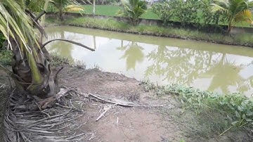 Lô đất vườn 500m2- 840 triệu l Mỹ Lộc-Cần Giuộc l Đường xe máy 0899489216