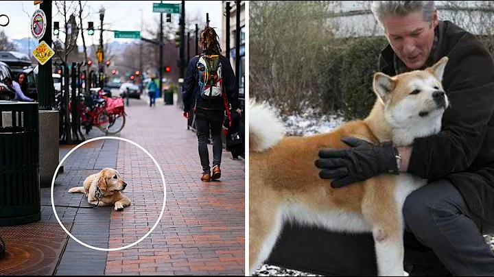 This loyal dog waited for his owner for 10 years | World's Most Loyal Dog | Hachi, A Dog's Tale