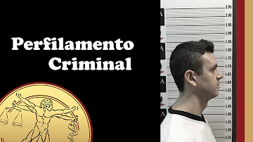 Qual a importância dos perfis criminais?