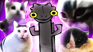 Toothless Dancing but Cats Sing It by Мемная Папка 38,059 views 4 months ago 36 seconds