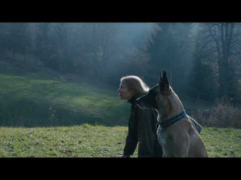 The Animal Remains | Short Film | Trailer