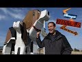 GIANT DOG! Strangest Hotels #2 VR180 3D Experience