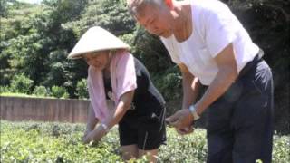 中央廣播電臺0728早安臺灣 只要努力,外配也能戴上茶王桂冠