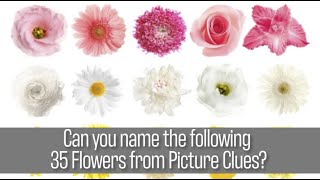 Quiz - Name these 35 flowers from photos of each