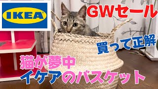 【IKEAのGWセール】人気のバスケットは猫姉妹争奪戦です
