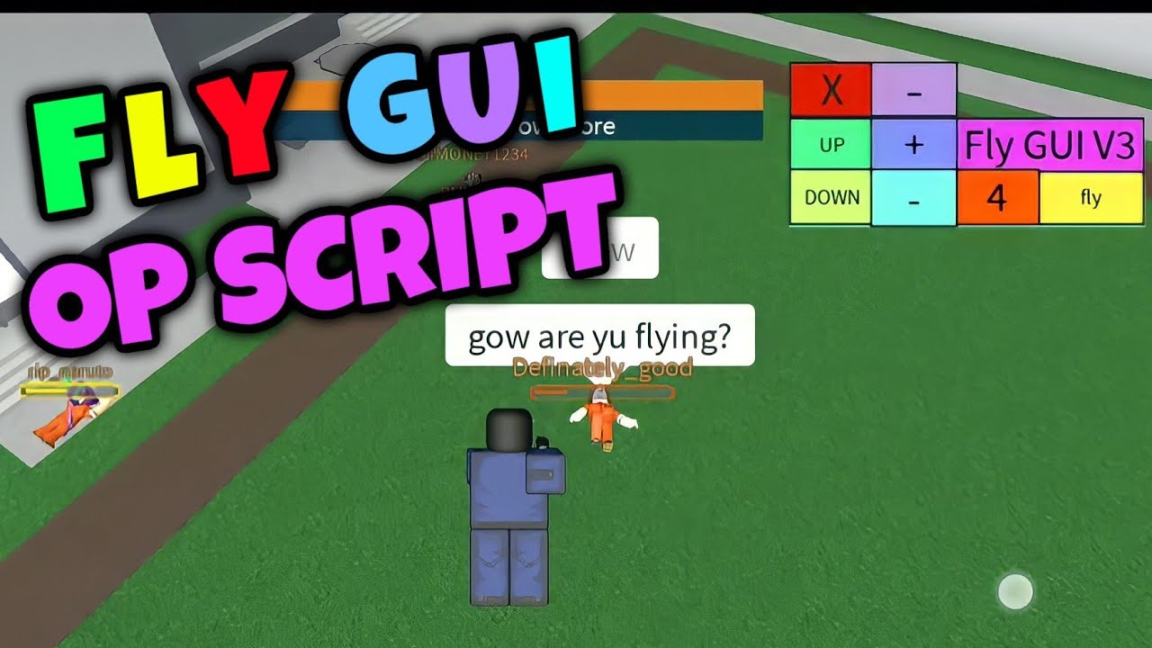 Fly gui