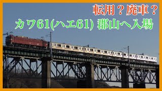 【転用？廃車？】209系カワ61編成郡山へ配給輸送！疎開先宇都宮から移動(ハエ61)