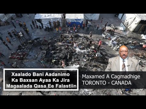 Xaalado Bani Aaadanimada Ka Baxsan Ayaa Ka Jirta Magaalada Qasa Ee Falastiin
