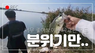 [육봉선생]Ep6_곡교천 필드는 너무 좋다..