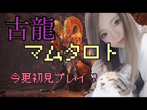 七瀬みひろ 七瀬みひろ