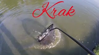 My Landing Net Broke Under The Weight Of This Monster Fish.