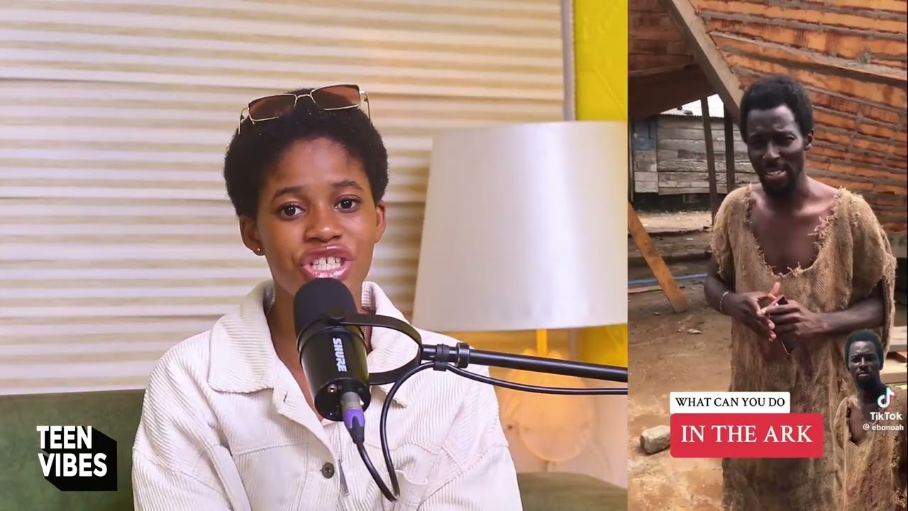 Обзор книги «История Эбо Ноа: Подростковые мотивы».