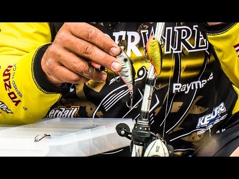 Lipless Crankbait Fishing TIPS & Techniques w/ Bobby Lane 