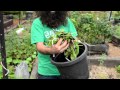 The First Steps to Composting - with Costa Georgiadis