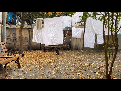 ყვითელი შემოდგომის ხმები თბილისქალაქში | The sounds of the yellow autumn in Tbilisi