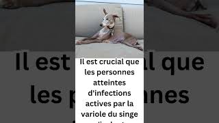 Transmission de la variole du singe aux chiens 