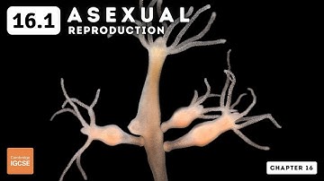 IGCSE Biology - Asexual reproduction (16.1)