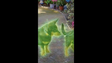 Film It Yourself brings Bub the Ghost Dog to live-action in a behind-the-green-screen peek!