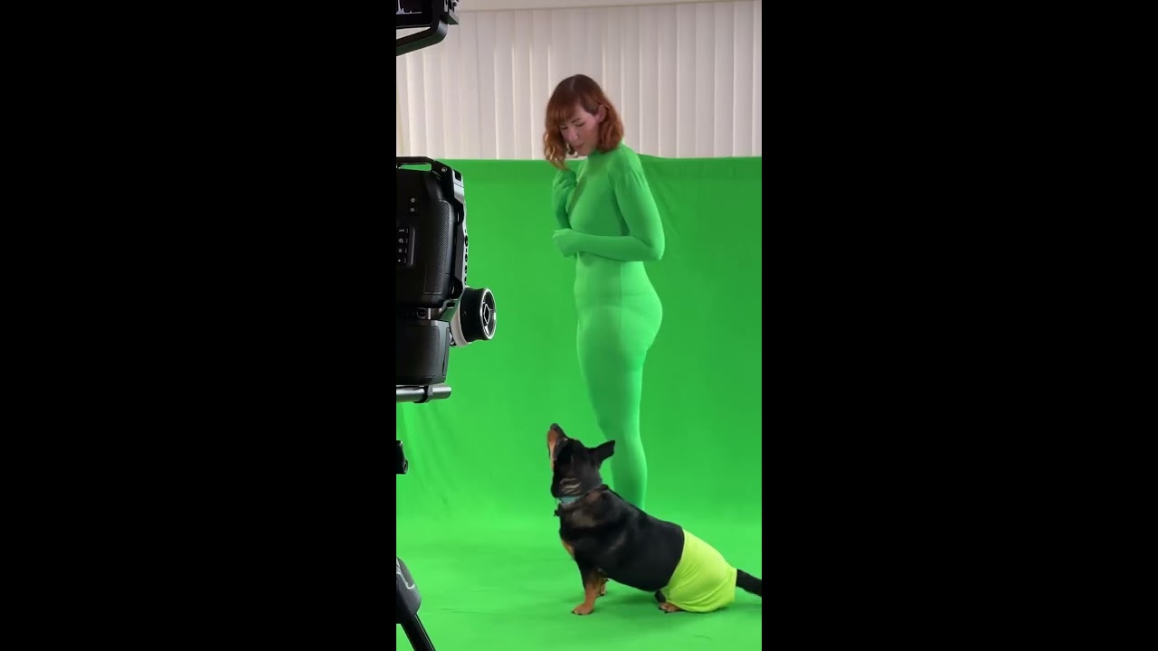 Film It Yourself brings Bub the Ghost Dog to live-action in a behind-the-green-screen peek!