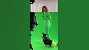 Thumbnail of Film It Yourself brings Bub the Ghost Dog to live-action in a behind-the-green-screen peek!