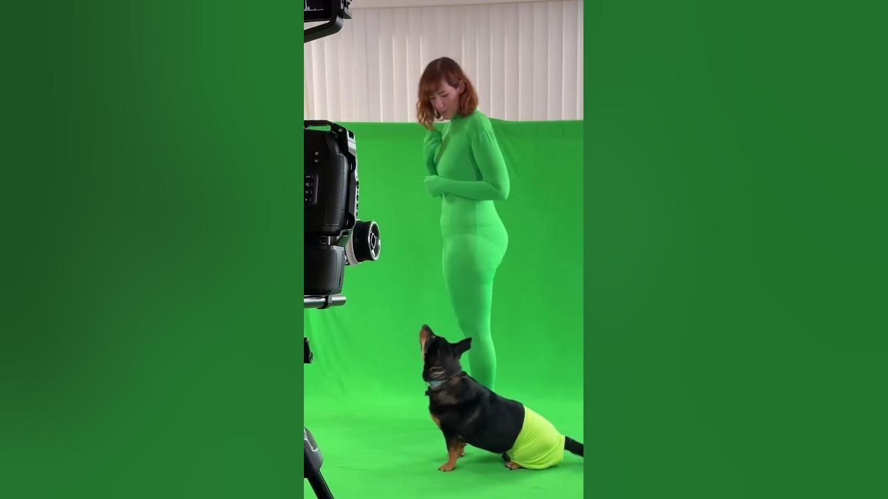 Film It Yourself brings Bub the Ghost Dog to live-action in a behind-the-green-screen peek!