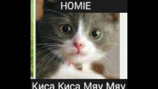 HOMIE Киса Киса Мяу Мяу, Киса киса Мур Мур