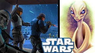 What Happened To KAMINO After Order 66 - Clone Wars Explained