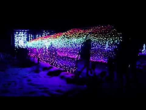 A Night Out At Night Lights At Tower Hill Botanic Garden Youtube