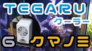 海水クーラー導入【TEGARUとクマノミ】