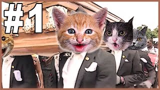 Dancing Funeral Coffin Meme - CATS VERSION