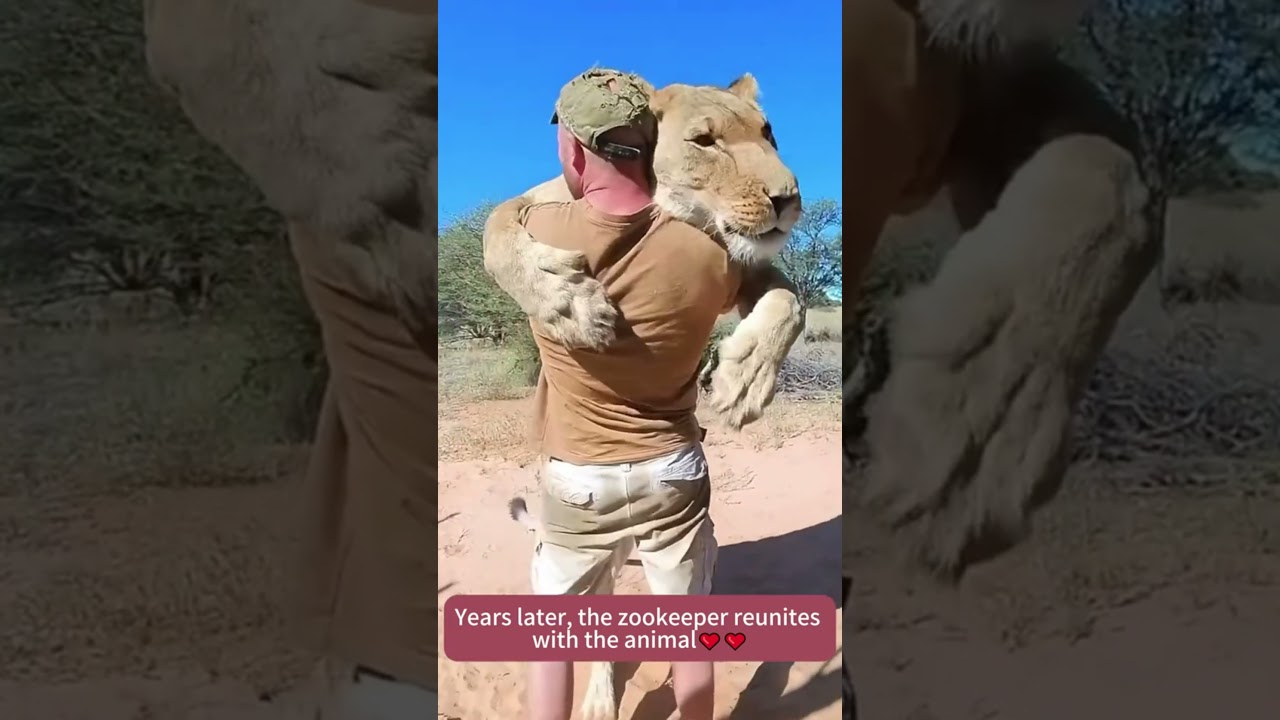 Sweet reunions between animals and their favorite humans