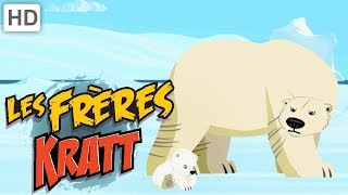 Les Frères Kratt 🐇  Animaux Arctiques et Polaires ⛄ | Vidéos pour Enfants