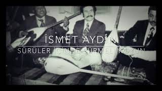 Sürüler İçinde Sürmeli Koyun - İsmet Aydin