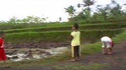 Milih Saha ?(Ema atawa Bapa)  - Durasi: 5.57. 