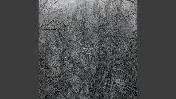 Last Snowstorm of the Year (feat. Midwife)