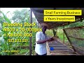SNAIL FARMING BUSINESS 2: Six Months Later, New Pens, Snail Cost, Nutritional Supplement