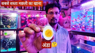 Home made Fish food for all aquarium fish | How to make & feed Egg in fish tank | feeding Egg to fry
