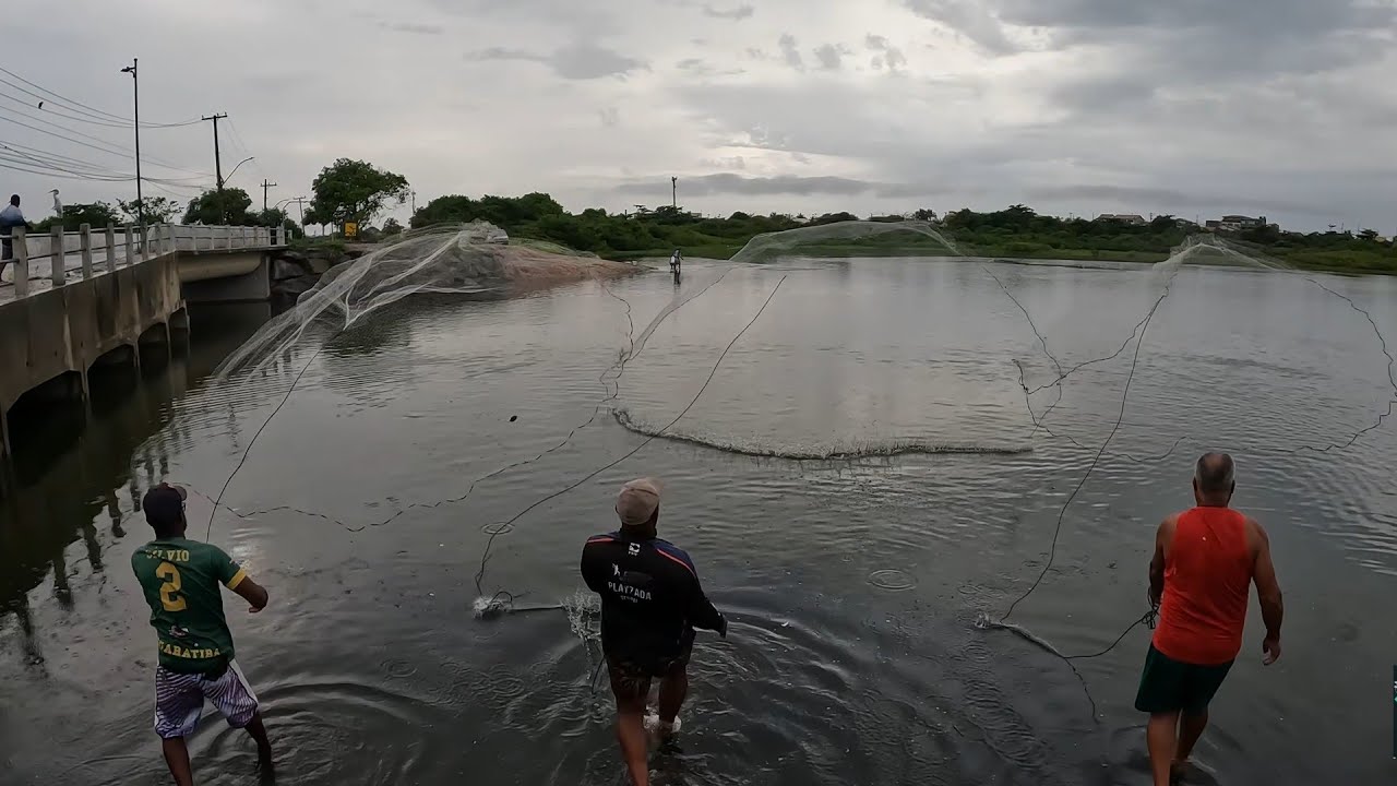 Festival de peixe depois da chuva 