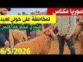 الله على سوق أربعاء مكناس اليوم 6 5 2026 أتمنة حولي عيد الأضحى ضروبات لعيد لحولي البركي و الصردي جدي