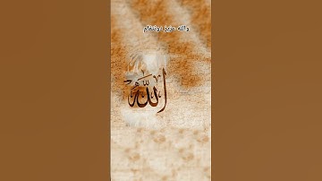 #القارئ #اكسبلور #المراه #قرآن #لايك #المراره #ترند #البخل #حالات_واتس #تيك_توك