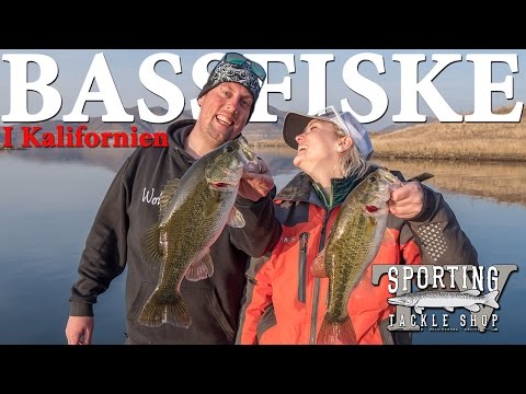 Video: Bassfiske vid Choke Canyon Reservoir