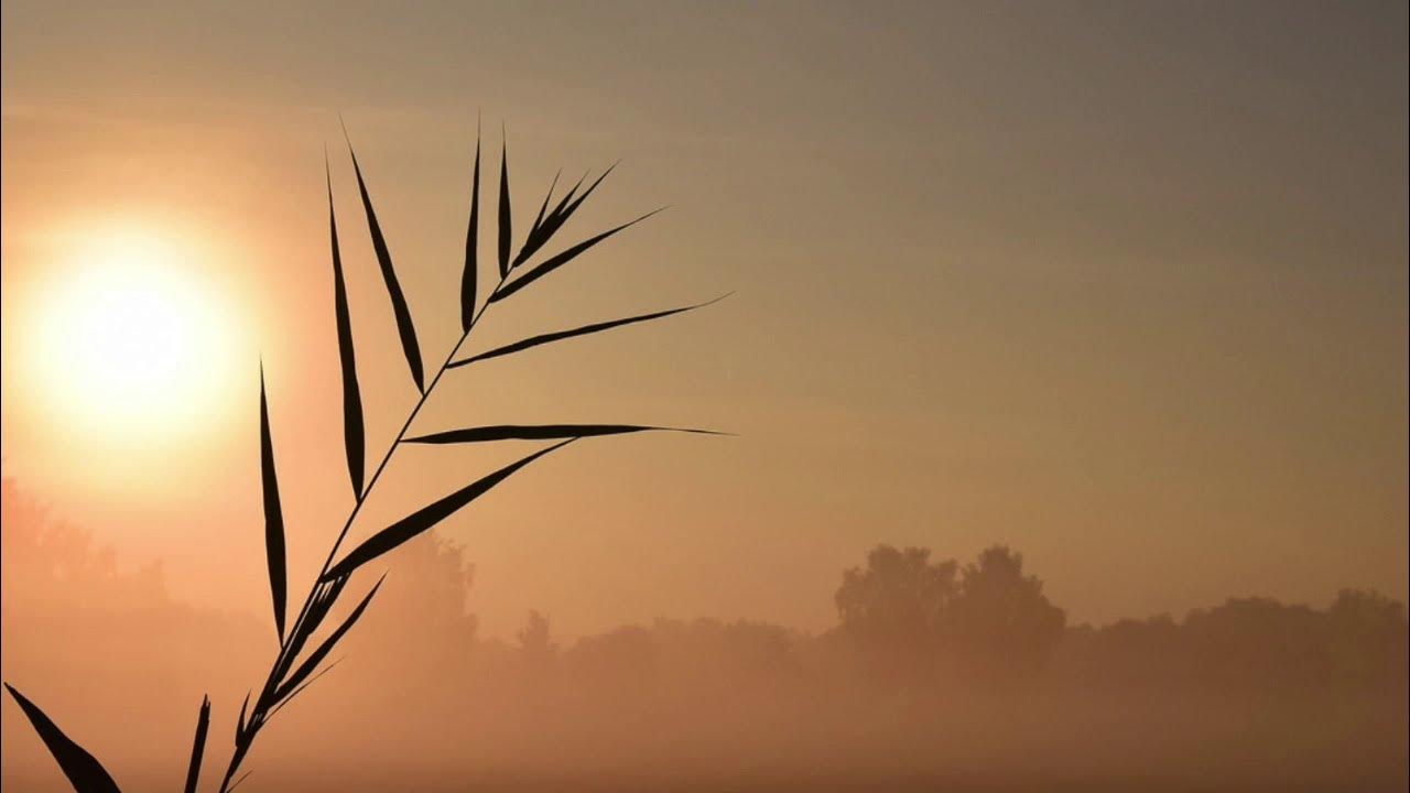 Ever gone away. Планета маленького принца. I will never die quote. Маленький принц. Black_blind faith [2015].